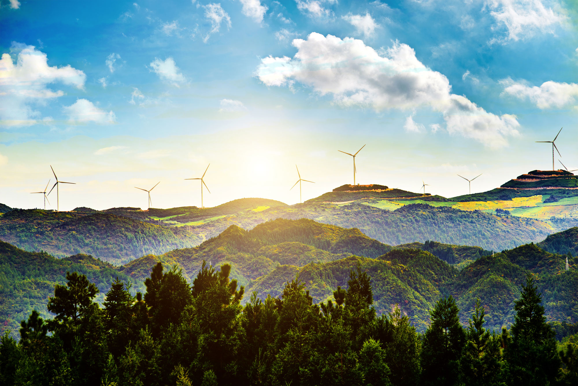 pent-consulting-sunny-landscape-with-windmills